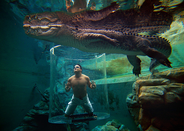 8. Crocosaurus Cove ou  Cage of Death, Austrália.
